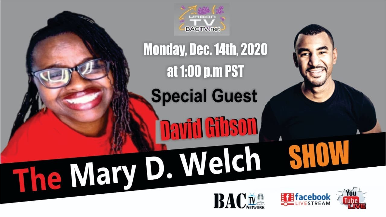 The Mary D. Welch Show With Special Guest David Gibson