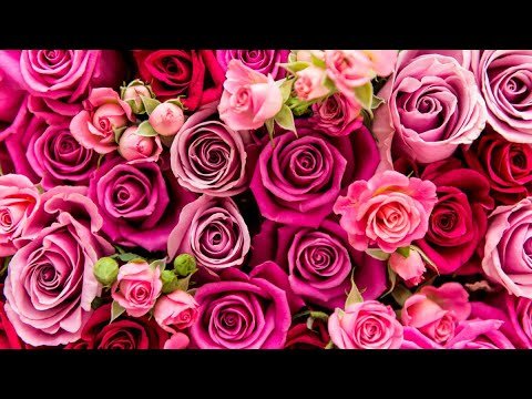 Pilgrim Church Auxiliary Valentine Event